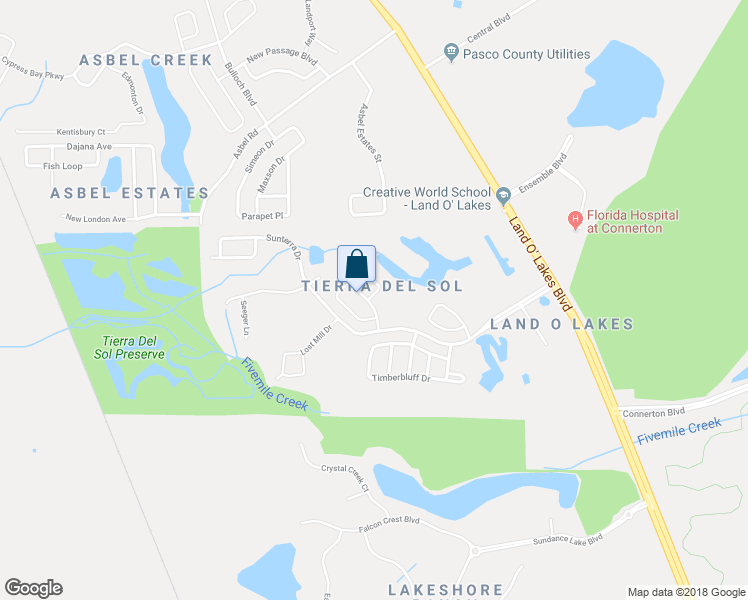 map of restaurants, bars, coffee shops, grocery stores, and more near 9304 Zincoe Lane in Land O' Lakes