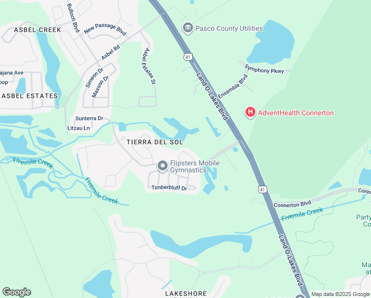 map of restaurants, bars, coffee shops, grocery stores, and more near 9306 Black Thorn Loop in Land O' Lakes
