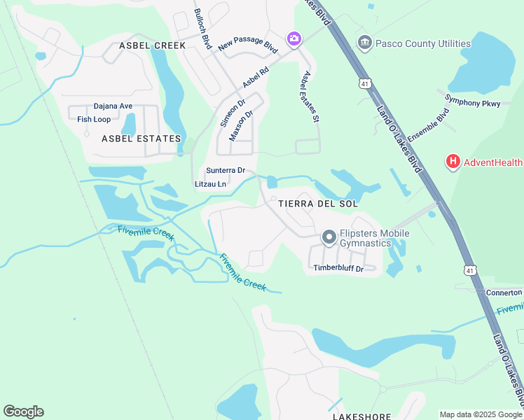map of restaurants, bars, coffee shops, grocery stores, and more near 19002 Narimore Drive in Land O' Lakes