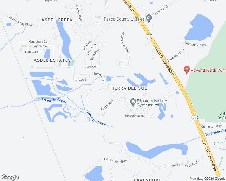 map of restaurants, bars, coffee shops, grocery stores, and more near 9337 Wellstone Drive in Land O' Lakes