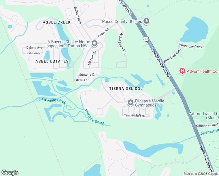 map of restaurants, bars, coffee shops, grocery stores, and more near 19034 Narimore Drive in Land O' Lakes
