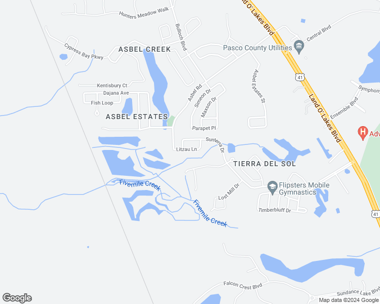 map of restaurants, bars, coffee shops, grocery stores, and more near 18816 Litzau Lane in Land O' Lakes