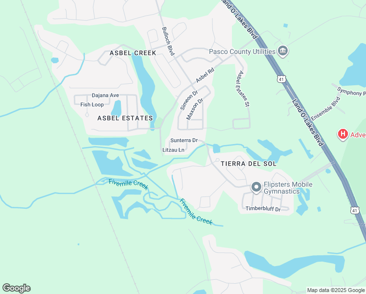 map of restaurants, bars, coffee shops, grocery stores, and more near 18816 Litzau Lane in Land O' Lakes