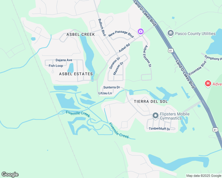 map of restaurants, bars, coffee shops, grocery stores, and more near 18836 Sunterra Drive in Pasco County