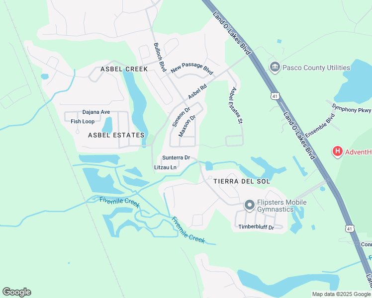 map of restaurants, bars, coffee shops, grocery stores, and more near 18916 Parapet Place in Land O' Lakes