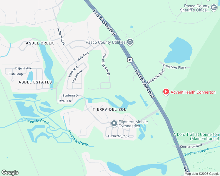 map of restaurants, bars, coffee shops, grocery stores, and more near 19208 Tilobe Loop in Land O' Lakes