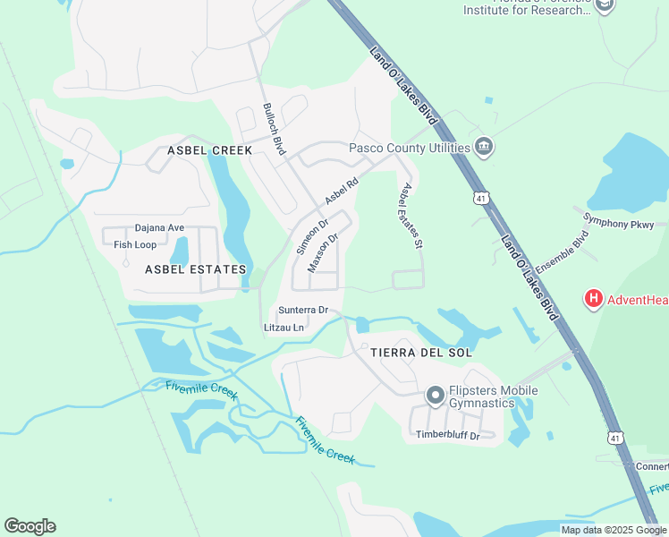 map of restaurants, bars, coffee shops, grocery stores, and more near 9551 Baton Rouge Lane in Land O' Lakes