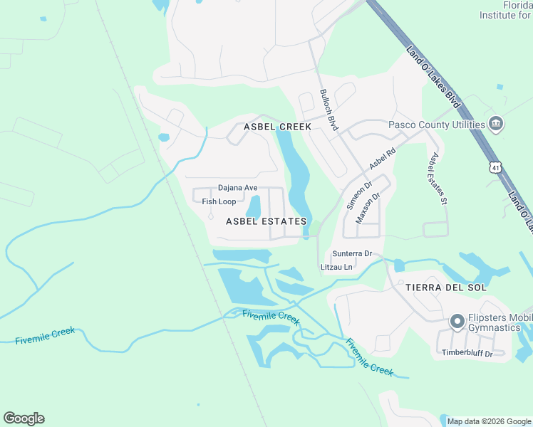 map of restaurants, bars, coffee shops, grocery stores, and more near 9615 Jaybird Lane in Land O' Lakes