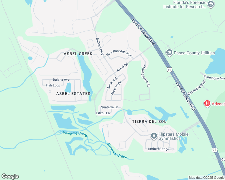 map of restaurants, bars, coffee shops, grocery stores, and more near 9611 Maxson Drive in Land O' Lakes