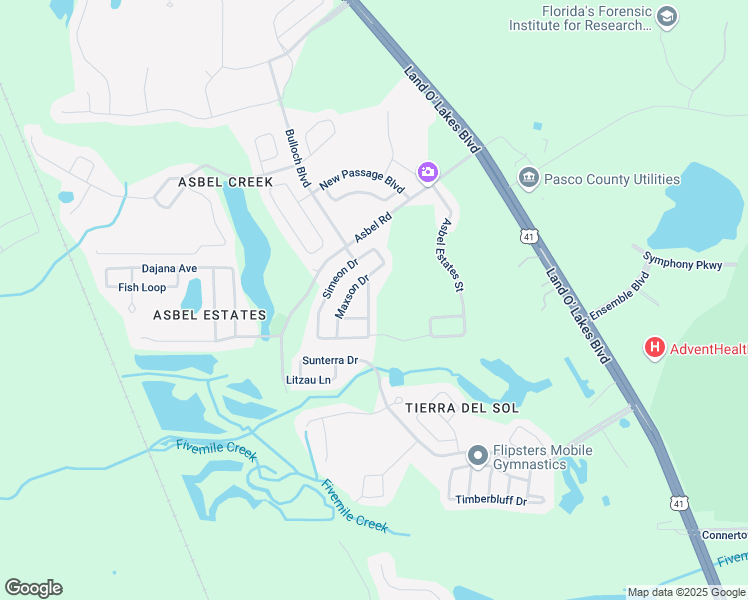 map of restaurants, bars, coffee shops, grocery stores, and more near 9620 Baton Rouge Lane in Land O' Lakes