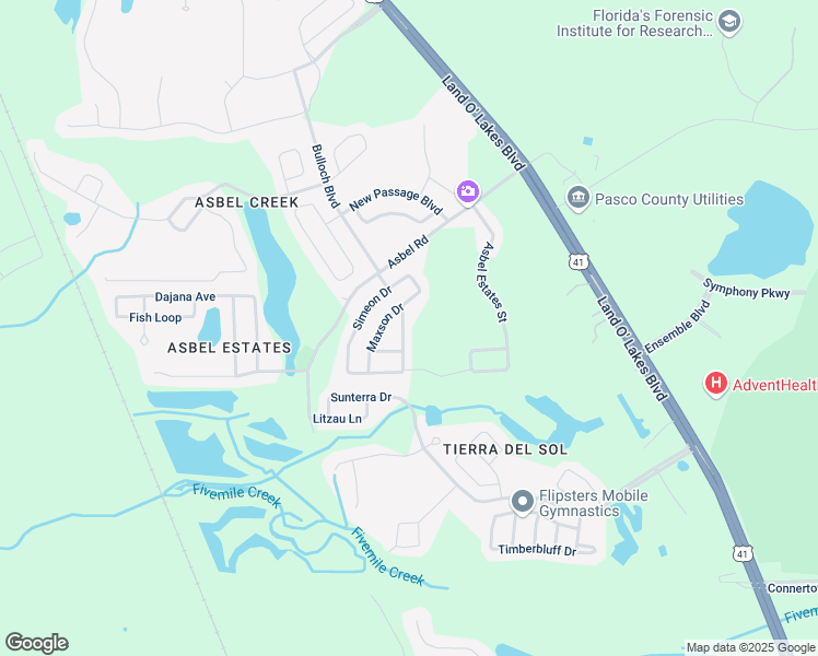 map of restaurants, bars, coffee shops, grocery stores, and more near 9620 Baton Rouge Lane in Land O' Lakes