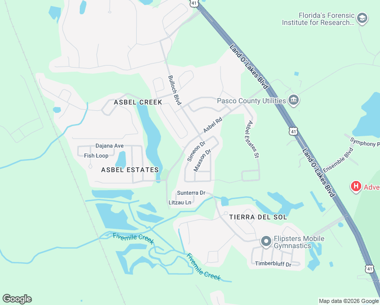 map of restaurants, bars, coffee shops, grocery stores, and more near 9649 Simeon Drive in Land O' Lakes