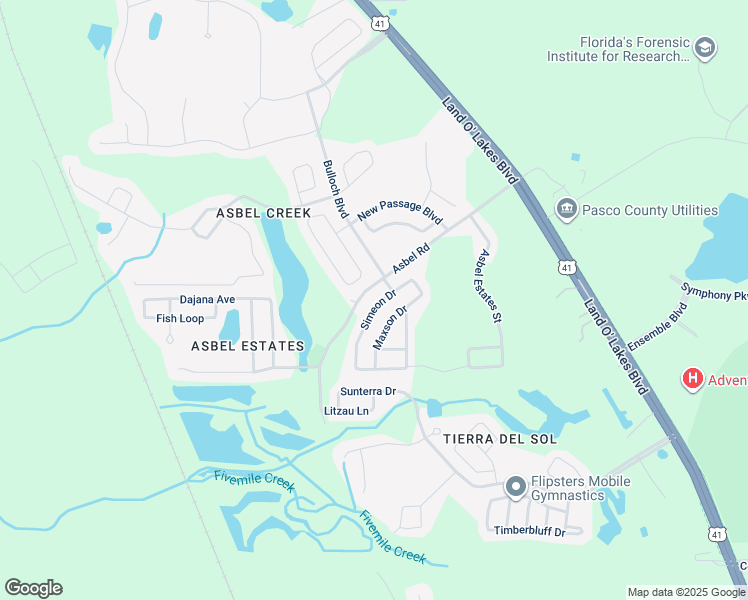 map of restaurants, bars, coffee shops, grocery stores, and more near 9707 Simeon Drive in Land O' Lakes