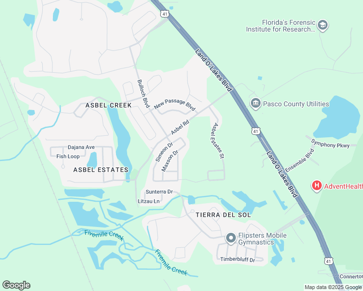 map of restaurants, bars, coffee shops, grocery stores, and more near 9723 Maxson Drive in Land O' Lakes