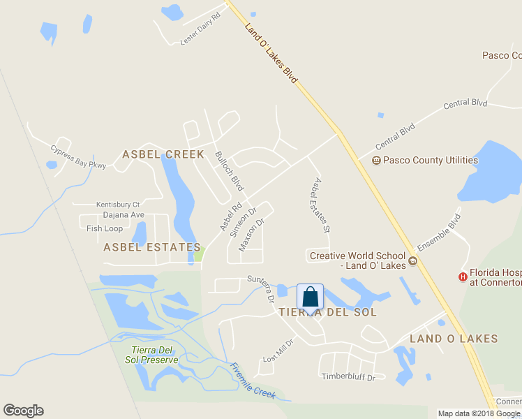 map of restaurants, bars, coffee shops, grocery stores, and more near 9742 Simeon Drive in Land O' Lakes