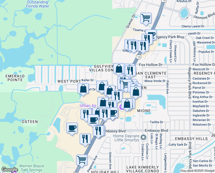 map of restaurants, bars, coffee shops, grocery stores, and more near 9735 Lehigh Drive in Port Richey