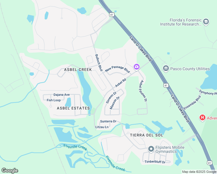 map of restaurants, bars, coffee shops, grocery stores, and more near 9637 Jasmine Brook Circle in Land O' Lakes