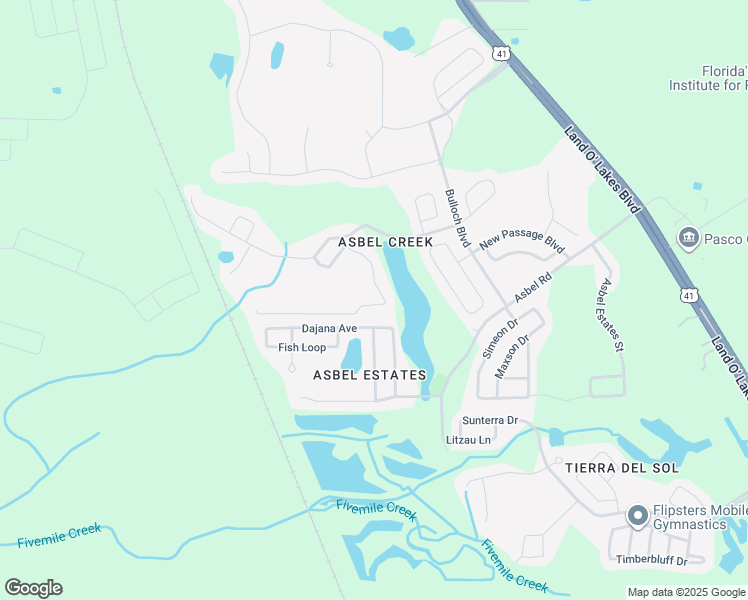 map of restaurants, bars, coffee shops, grocery stores, and more near 18535 Kentisbury Court in Land O' Lakes