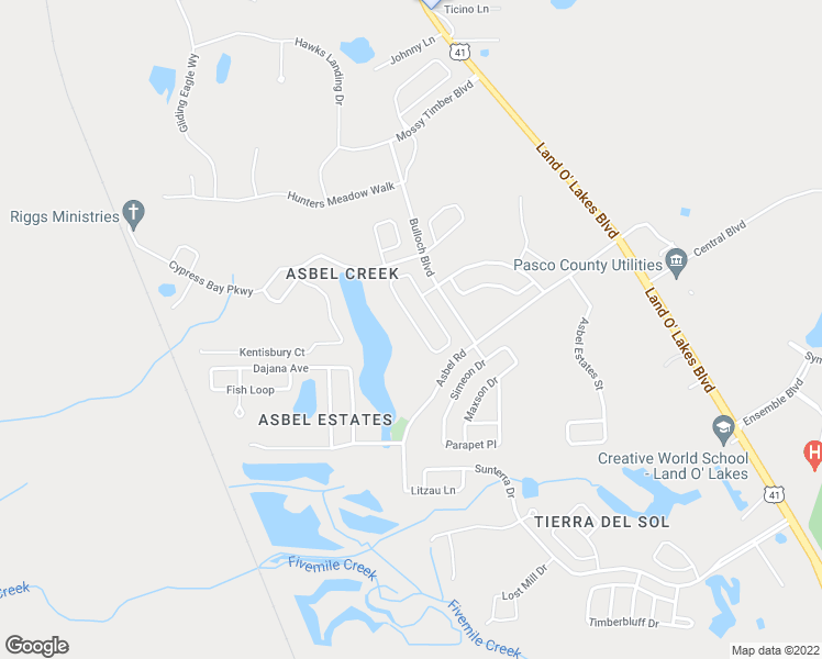 map of restaurants, bars, coffee shops, grocery stores, and more near 9821 Jasmine Brook Circle in Land O' Lakes
