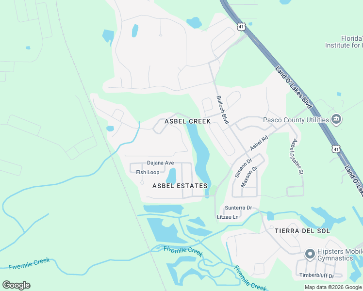 map of restaurants, bars, coffee shops, grocery stores, and more near 9815 Edmonton Drive in Land O' Lakes