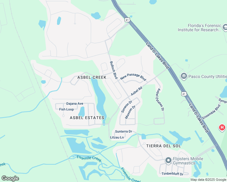 map of restaurants, bars, coffee shops, grocery stores, and more near 9820 Jasmine Brook Circle in Land O' Lakes
