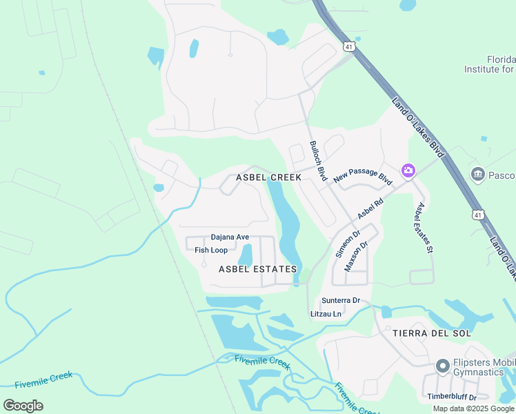 map of restaurants, bars, coffee shops, grocery stores, and more near 9827 Edmonton Drive in Land O' Lakes