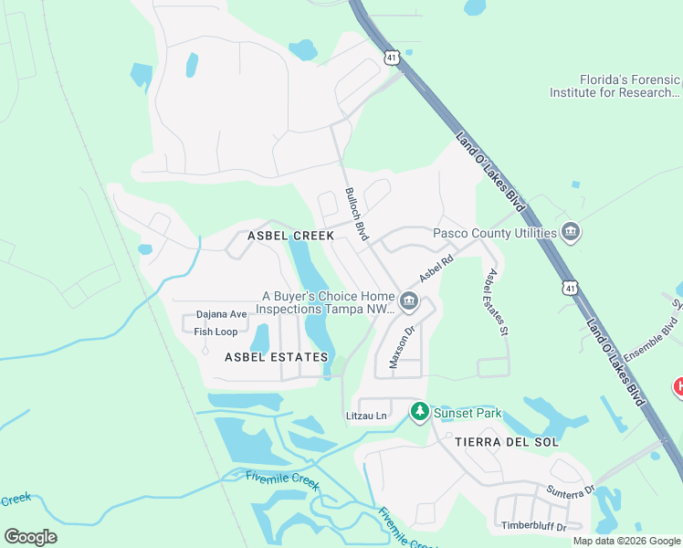 map of restaurants, bars, coffee shops, grocery stores, and more near 9833 Jasmine Brook Circle in Land O' Lakes