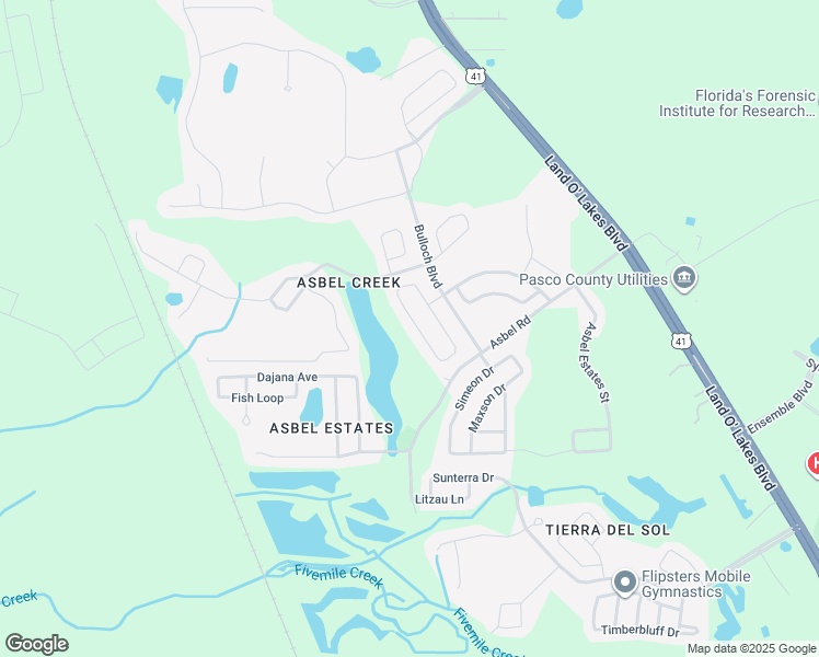 map of restaurants, bars, coffee shops, grocery stores, and more near 9833 Jasmine Brook Circle in Land O' Lakes