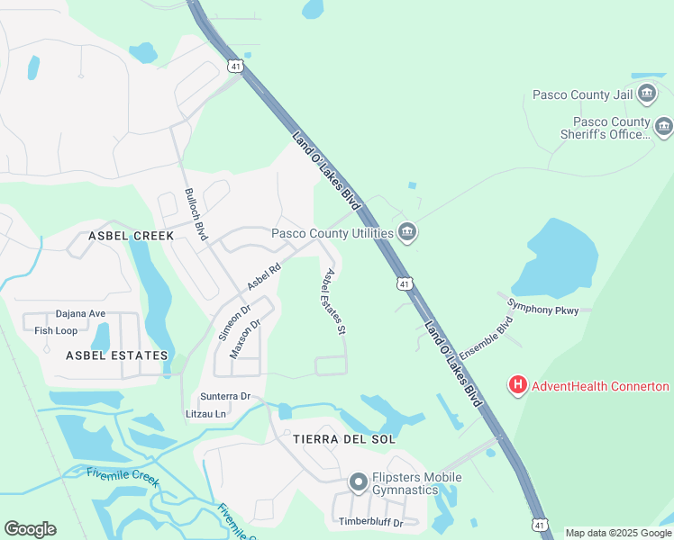 map of restaurants, bars, coffee shops, grocery stores, and more near 9826 Asbel Estates Street in Land O' Lakes