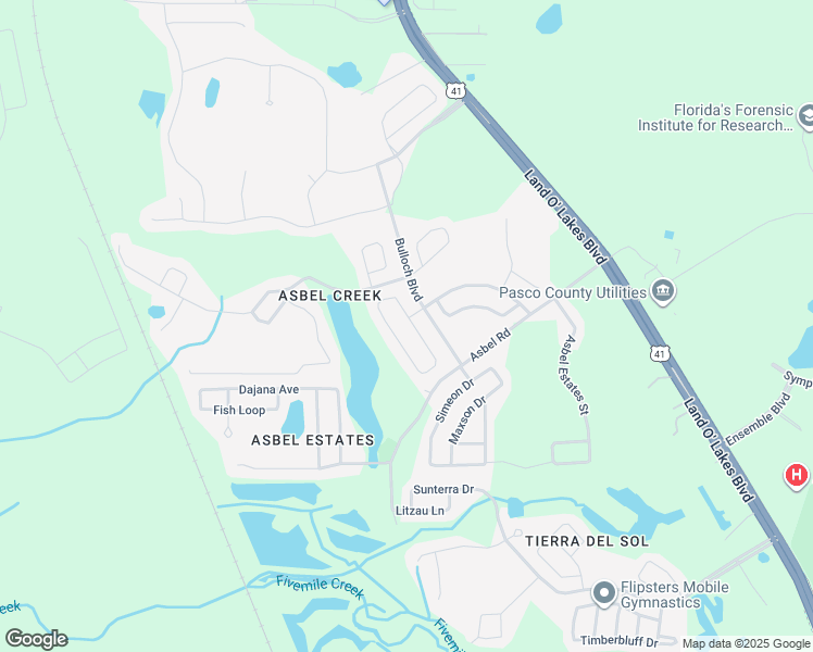 map of restaurants, bars, coffee shops, grocery stores, and more near 9833 Jasmine Brook Circle in Land O' Lakes