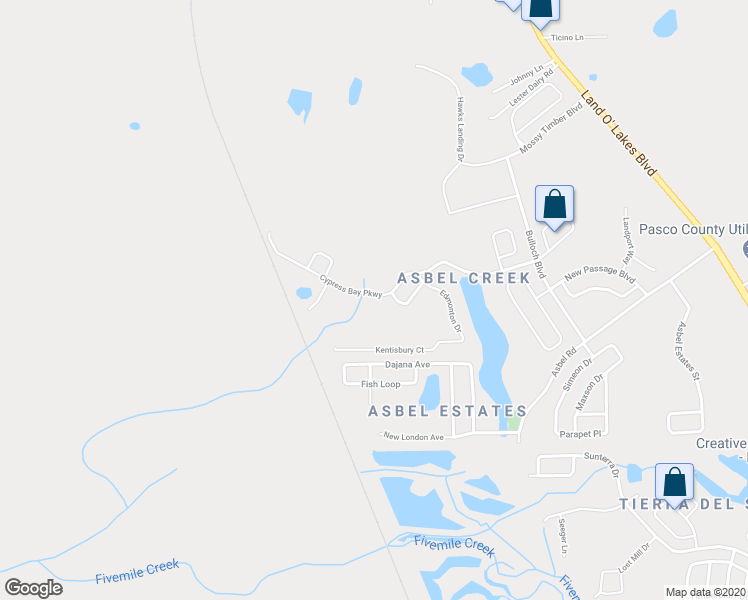 map of restaurants, bars, coffee shops, grocery stores, and more near 18336 Cypress Bay Parkway in Land O' Lakes