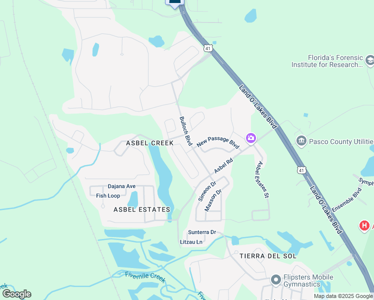 map of restaurants, bars, coffee shops, grocery stores, and more near 9965 Jasmine Brook Circle in Land O' Lakes