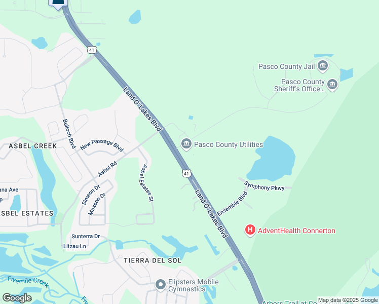 map of restaurants, bars, coffee shops, grocery stores, and more near 19420 Central Boulevard in Land O' Lakes