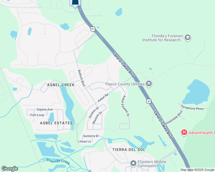 map of restaurants, bars, coffee shops, grocery stores, and more near 19010 New Passage Boulevard in Land O' Lakes