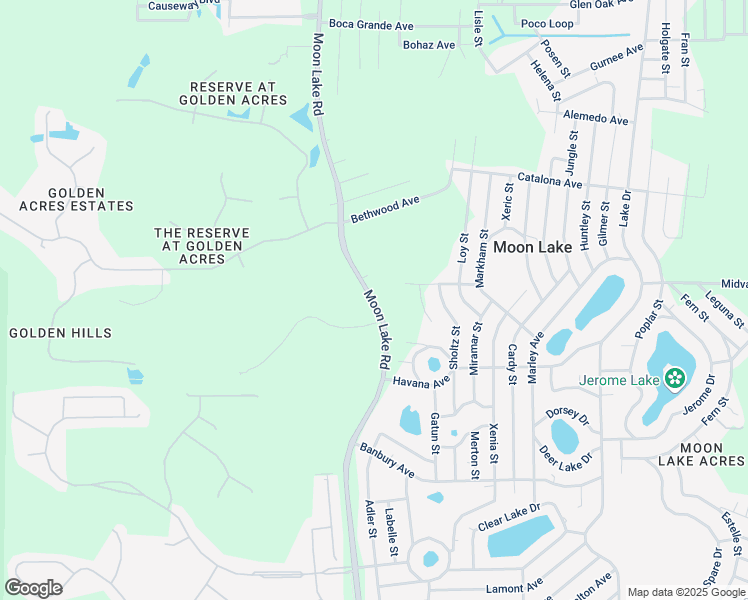 map of restaurants, bars, coffee shops, grocery stores, and more near Moon Lake Road in New Port Richey