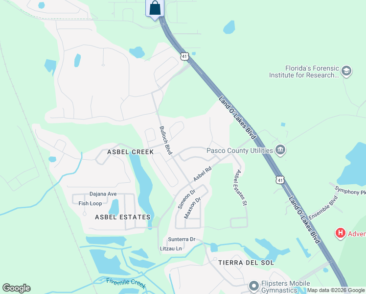 map of restaurants, bars, coffee shops, grocery stores, and more near 18847 New Passage Boulevard in Land O' Lakes