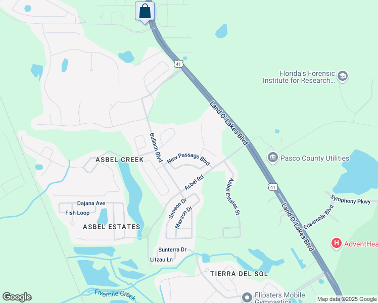 map of restaurants, bars, coffee shops, grocery stores, and more near 18933 New Passage Boulevard in Land O' Lakes