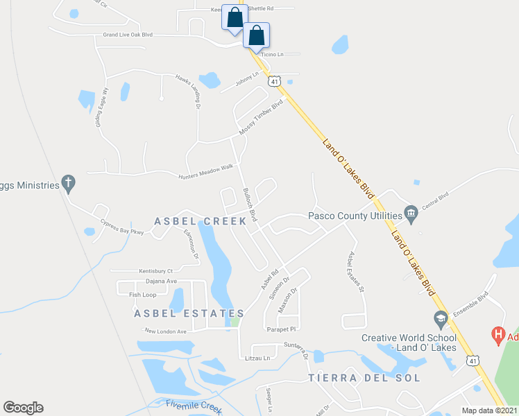 map of restaurants, bars, coffee shops, grocery stores, and more near 10004 Perthshire Circle in Land O' Lakes