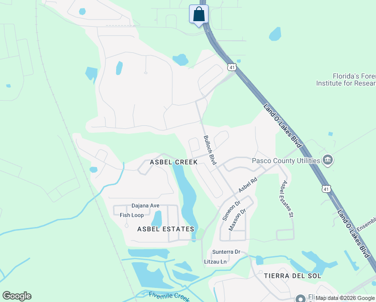 map of restaurants, bars, coffee shops, grocery stores, and more near 10017 Coldwater Loop in Land O' Lakes