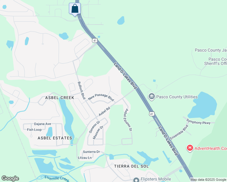 map of restaurants, bars, coffee shops, grocery stores, and more near 19033 Dunlap Court in Land O' Lakes