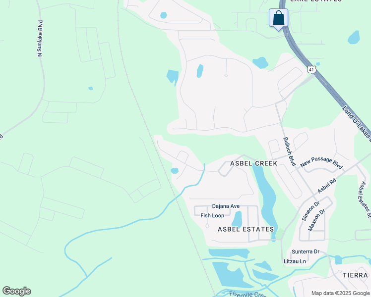 map of restaurants, bars, coffee shops, grocery stores, and more near 9936 Torrisdale Loop in Land O' Lakes