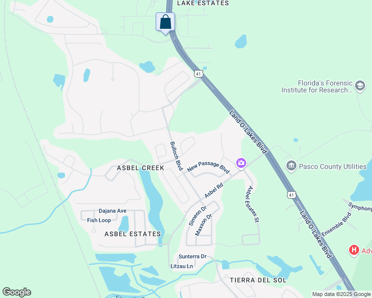 map of restaurants, bars, coffee shops, grocery stores, and more near 10025 Perthshire Circle in Land O' Lakes