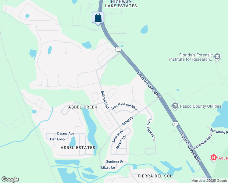 map of restaurants, bars, coffee shops, grocery stores, and more near 10047 Perthshire Circle in Land O' Lakes