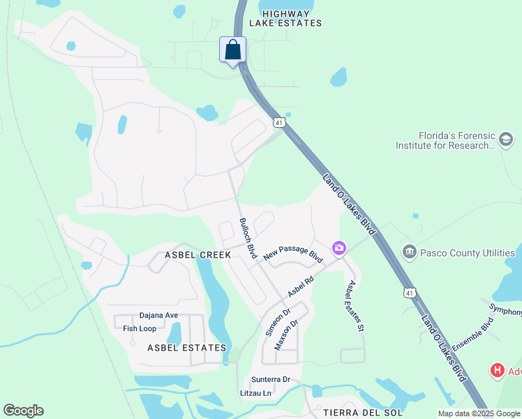 map of restaurants, bars, coffee shops, grocery stores, and more near 10138 Perthshire Circle in Land O' Lakes