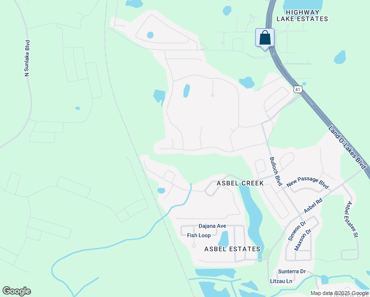 map of restaurants, bars, coffee shops, grocery stores, and more near 9936 Torrisdale Loop in Land O' Lakes