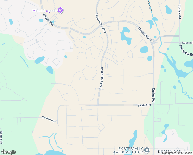 map of restaurants, bars, coffee shops, grocery stores, and more near 31541 Tyndall Road in Wesley Chapel