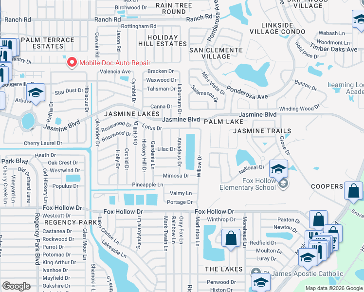 map of restaurants, bars, coffee shops, grocery stores, and more near 10234 Amadeus Drive in Port Richey