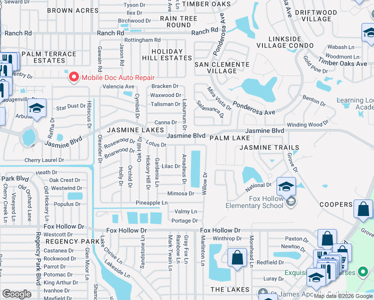 map of restaurants, bars, coffee shops, grocery stores, and more near 10338 Amadeus Drive in Port Richey