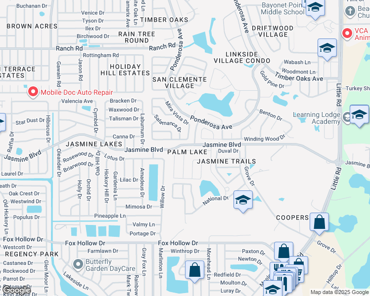 map of restaurants, bars, coffee shops, grocery stores, and more near 8201 Autumn Oak Avenue in Port Richey