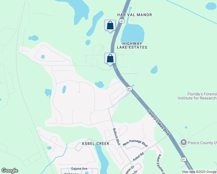 map of restaurants, bars, coffee shops, grocery stores, and more near 18807 Lester Dairy Road in Land O' Lakes